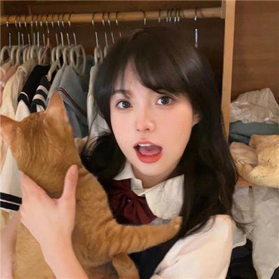 科搜研之女第24季